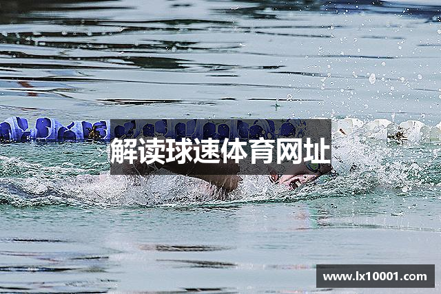 解读球速体育网址